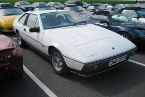 Lotus Excel