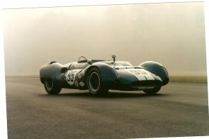 Shelby King Cobra