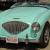 Austin-Healey 100