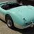 Austin-Healey 100