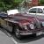 Bristol 401/402