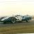 Shelby King Cobra