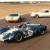 Shelby King Cobra