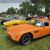 TVR Vixen