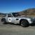 TVR Vixen