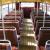 Routemaster